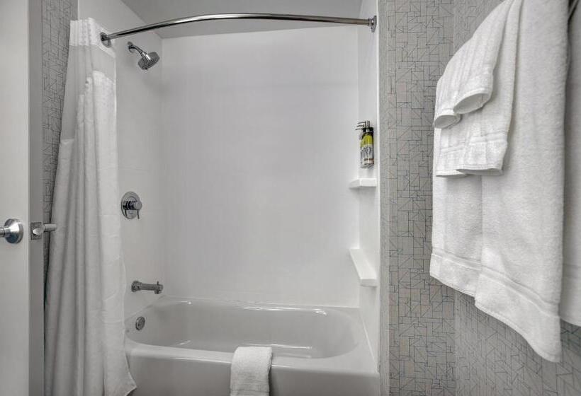 장애인을 위한 스위트, Holiday Inn Express Milwaukee Downtown, An Ihg