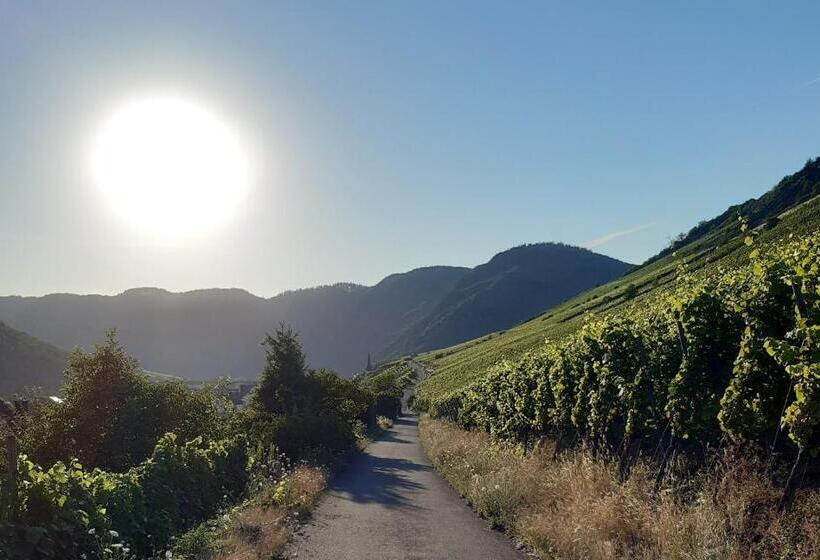 غرفة ديلوكس مطلّة علي البحر مزوَّدة بشُرفة, Haus Moselliebe B&b