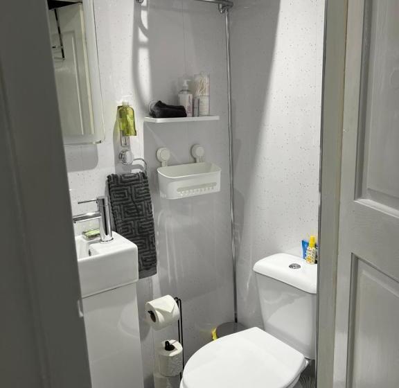 غرفة ديلوكس سرير كينج, Peacock Guest House