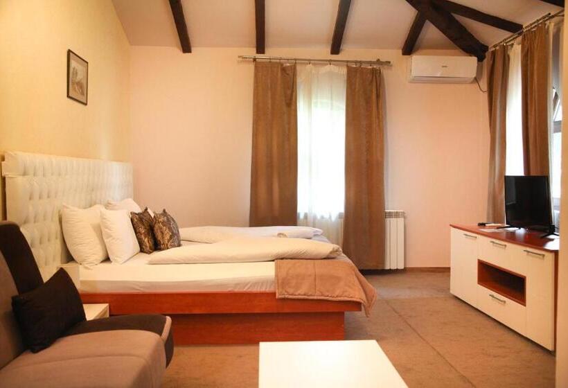 استودیوی استاندارد, S Club Resort Hotel Aqua Park And Spa