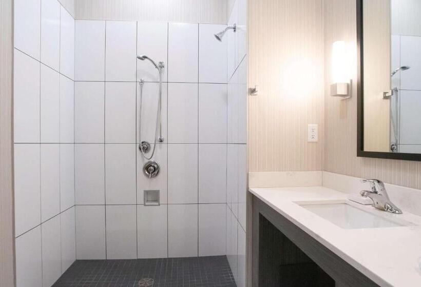 اتاق استاندارد با تخت بزرگ برای معلولان, Best Western Plus Prince George