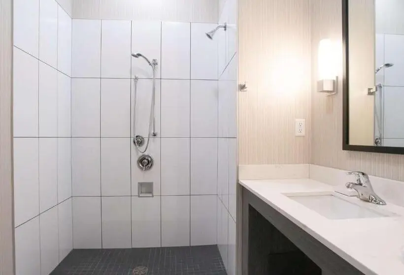 身障者適用キングサイズベッドルーム, Best Western Plus Prince George