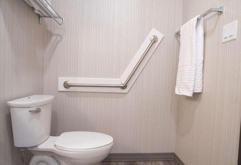 اتاق استاندارد با تخت بزرگ برای معلولان, Best Western Plus Prince George