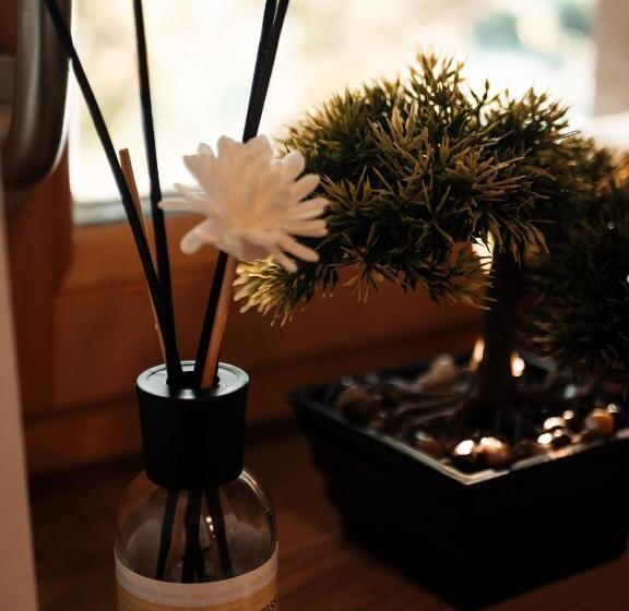 اتاق استاندارد, Hiša Stare Mame