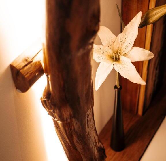 اتاق لوکس, Hiša Stare Mame