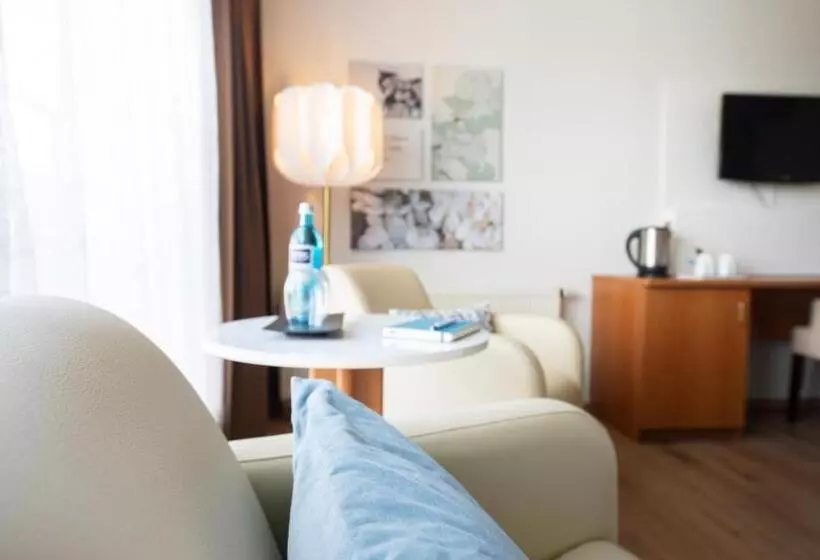 اتاق کلاس بیزنس, Achat Hotel Frankfurt Maintal