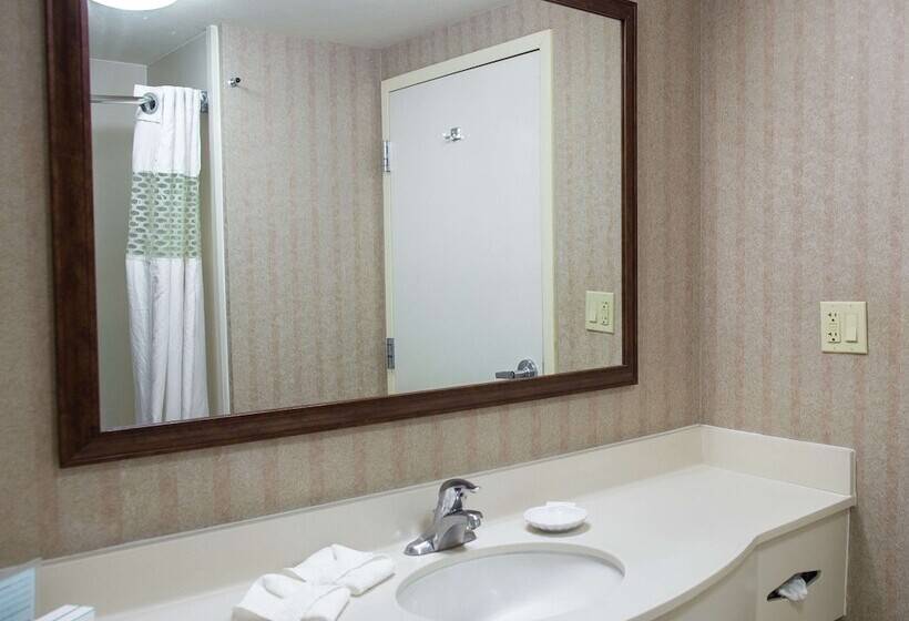 ２ダブルベッドのスタンダードルーム, Hampton Inn By Hilton Torreónairport Galerías