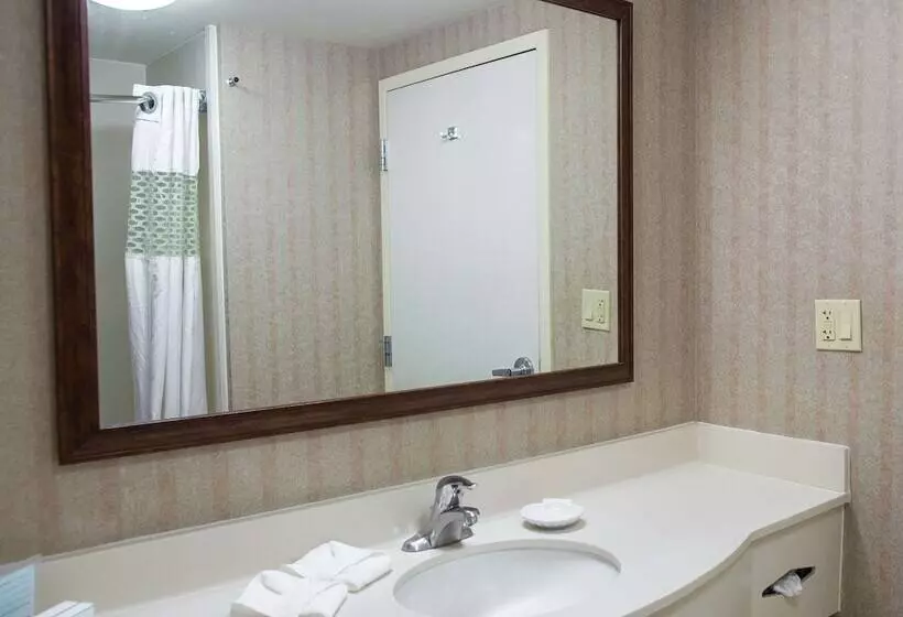 اتاق استاندارد با 2 تخت دوبل, Hampton Inn By Hilton Torreónairport Galerías