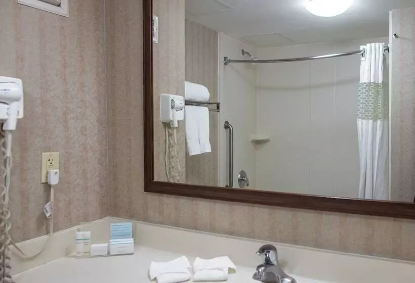 اتاق استاندارد با 2 تخت دوبل, Hampton Inn By Hilton Torreónairport Galerías