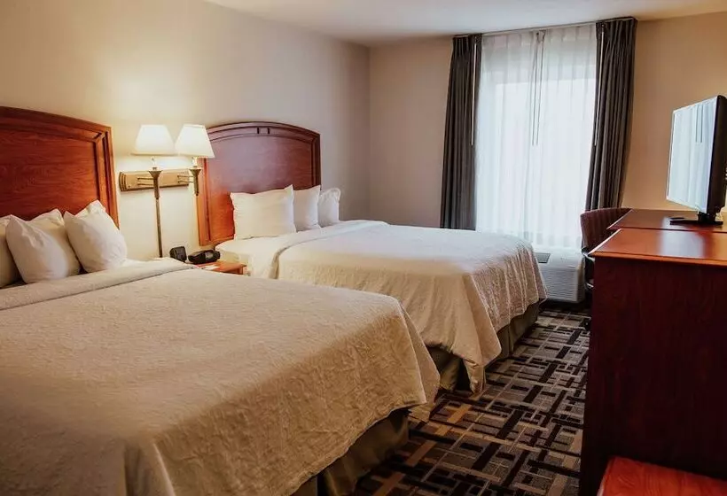 اتاق استاندارد با 2 تخت دوبل, Hampton Inn By Hilton Torreónairport Galerías