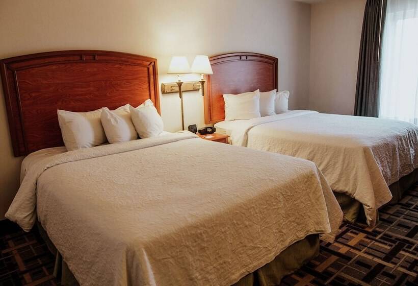 חדר סטנדרט שתי מיטות זוגיות, Hampton Inn By Hilton Torreónairport Galerías