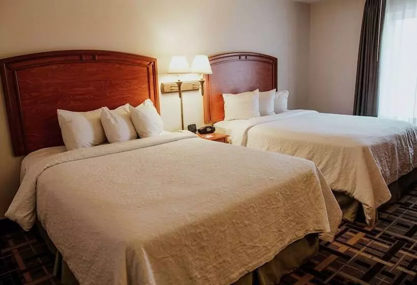 اتاق استاندارد با 2 تخت دوبل, Hampton Inn By Hilton Torreónairport Galerías