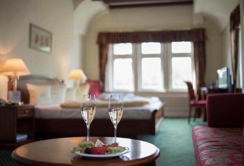 マウンテンビュースタンダードルーム, Haus Hainstein