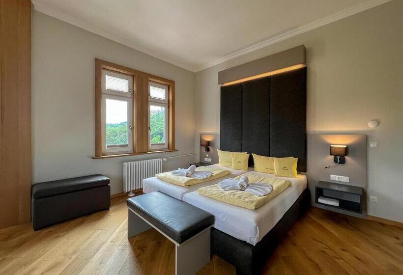 Номер Стандарт Вид на Горы, Haus Hainstein