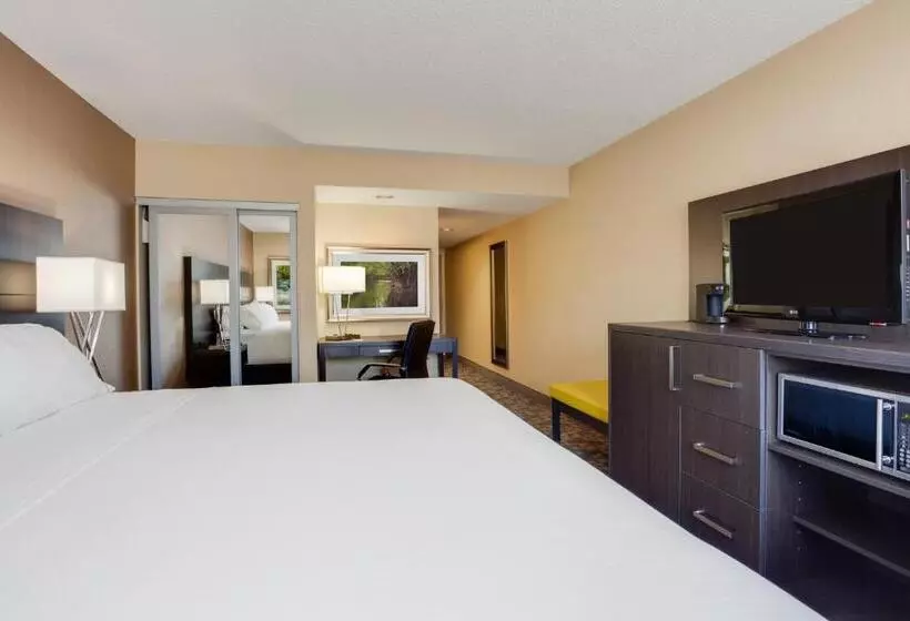 اتاق استاندارد با تخت بزرگ, Holiday Inn Express Hotel & Suites Uptown Fredericton, An Ihg