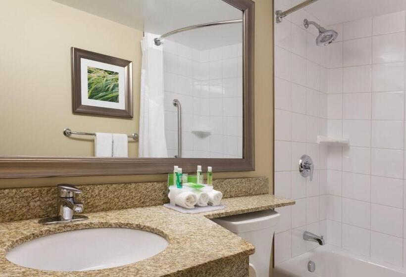 キングサイズベッドのスイートルーム, Holiday Inn Express Hotel & Suites Uptown Fredericton, An Ihg