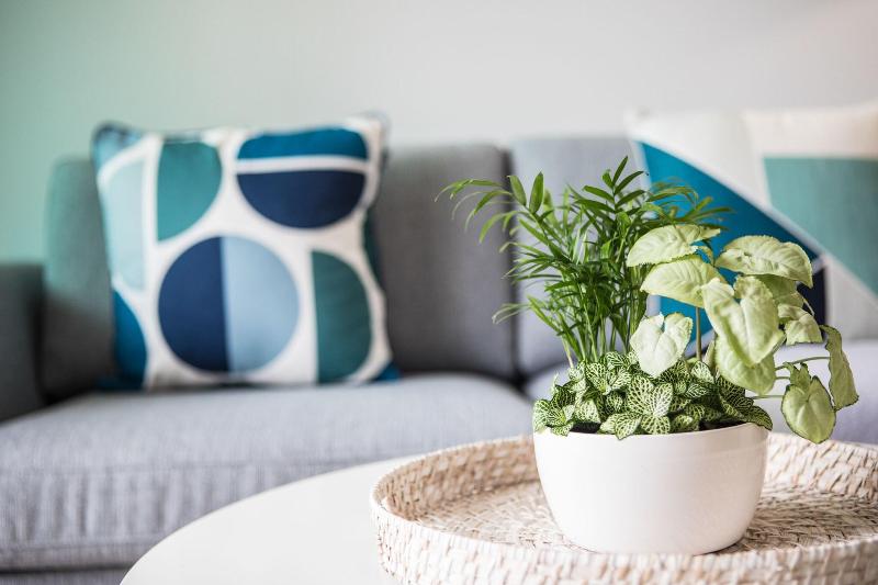 Люкс Вид на Море, Port Douglas Peninsula Boutique Hotel   Adults Only Haven