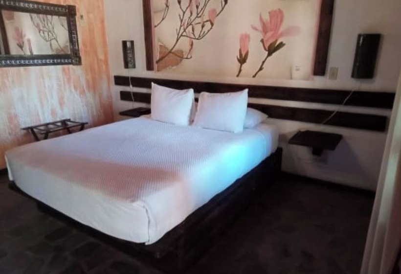 スタンダードルーム, Boutique Posada De Las Flores Loreto