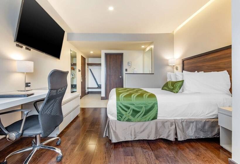 اتاق استاندارد, Quality Inn Chihuahua San Francisco