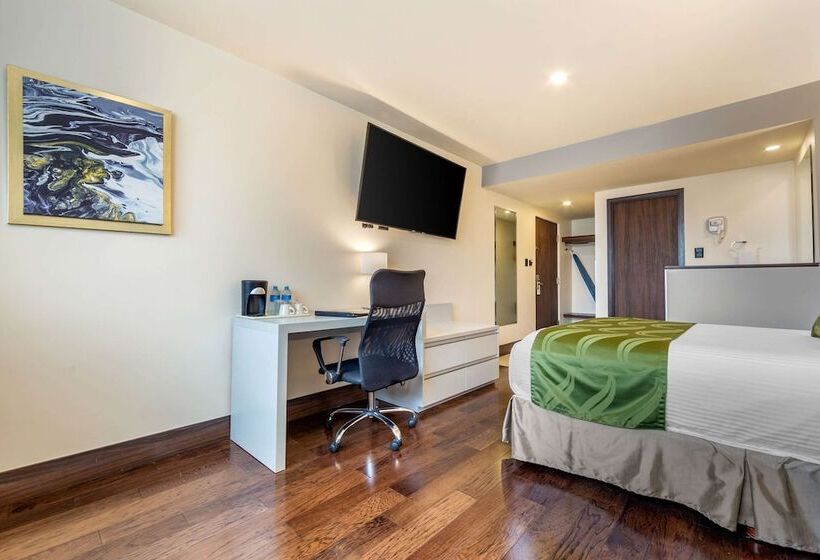 اتاق استاندارد, Quality Inn Chihuahua San Francisco