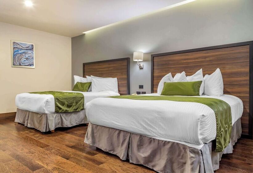 اتاق استاندارد با 2 تخت دوبل, Quality Inn Chihuahua San Francisco