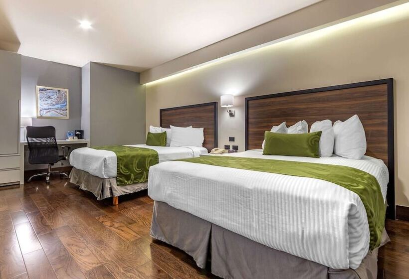 اتاق استاندارد با 2 تخت دوبل, Quality Inn Chihuahua San Francisco