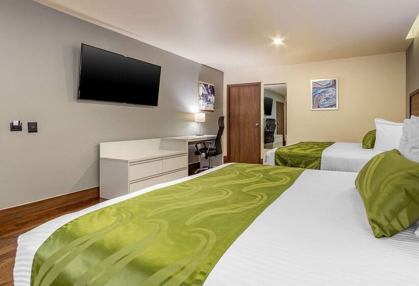اتاق استاندارد با 2 تخت دوبل, Quality Inn Chihuahua San Francisco