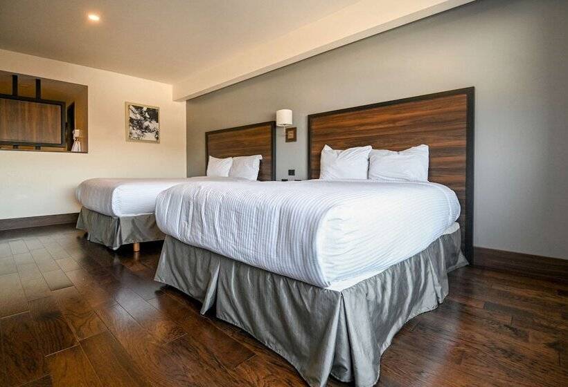 اتاق استاندارد با 2 تخت دوبل, Quality Inn Chihuahua San Francisco