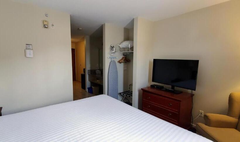 Deluxe Suite King Bed, Travelodge By Wyndham Stony Plain