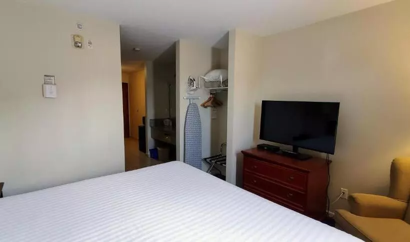 キングサイズベッドのデラックススイート, Travelodge By Wyndham Stony Plain