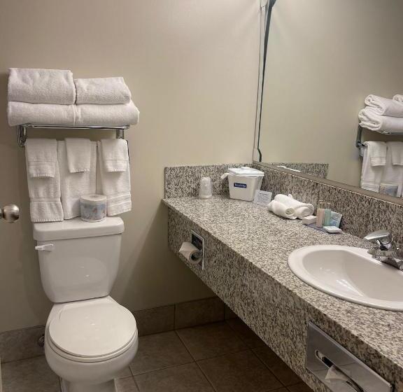 Deluxe Room, Travelodge By Wyndham Stony Plain