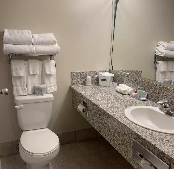 デラックスルーム, Travelodge By Wyndham Stony Plain