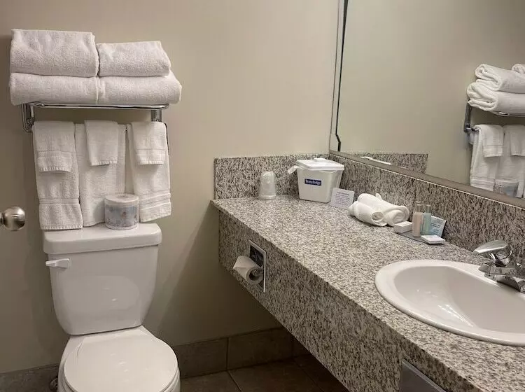 デラックスルーム, Travelodge By Wyndham Stony Plain