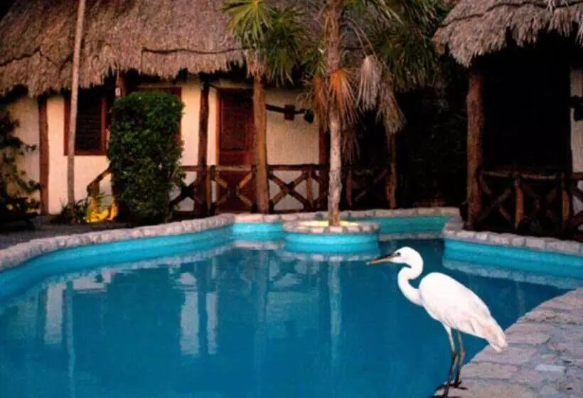 スタンダードバンガロー, Holbox By Xaloc