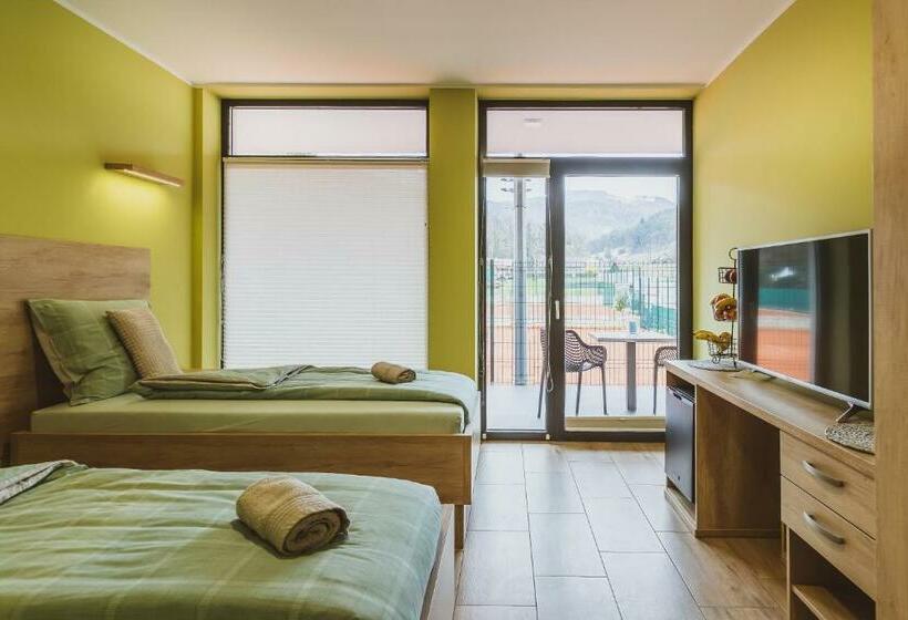 اتاق استاندارد, Center Vintgar