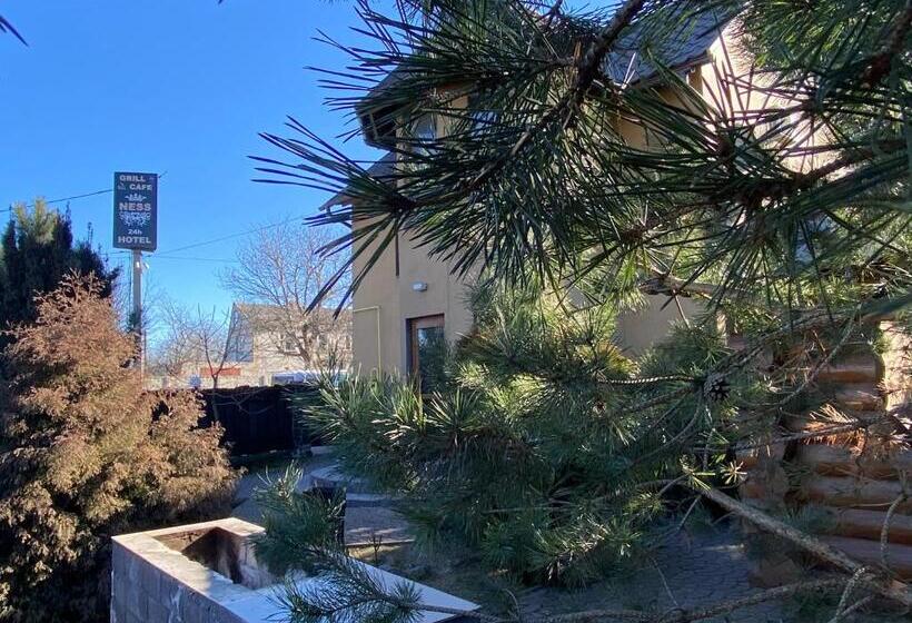 اتاق خانوادگی, Ness готельно ресторанний комплекс