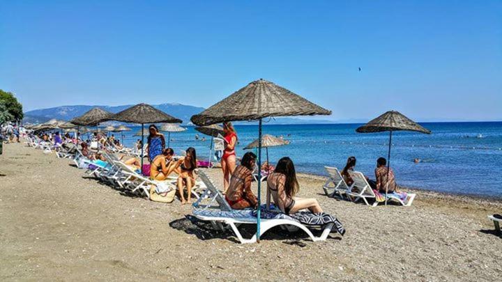 ファミリールーム, Lebedos Apart