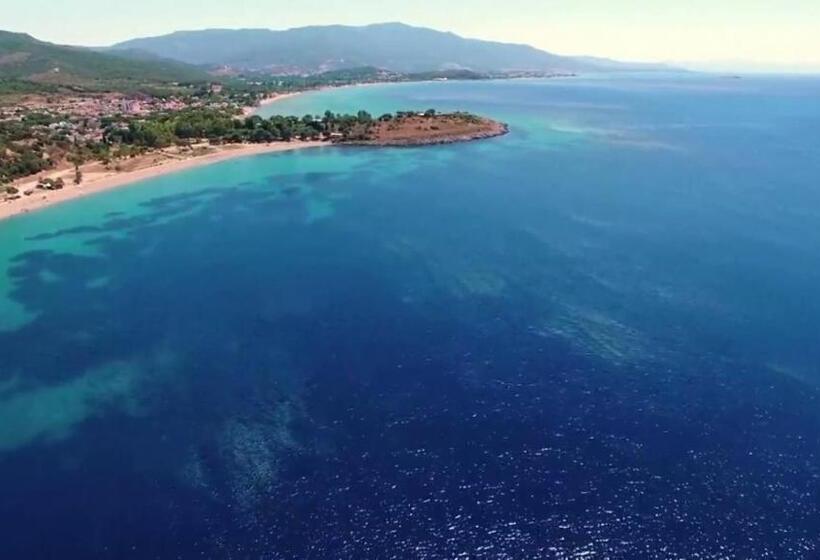 ファミリールーム, Lebedos Apart