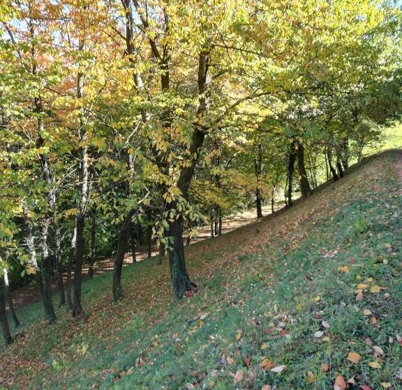 1ベッドルームアパートメント, Tenuta Montanello B&b