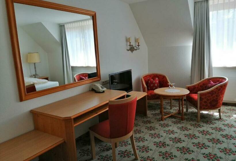 Номер Комфорт, Landhotel Reckenberg