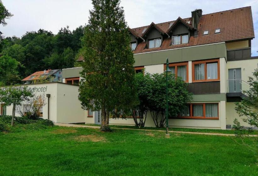 Апартаменты 1 Спальня, Landhotel Reckenberg