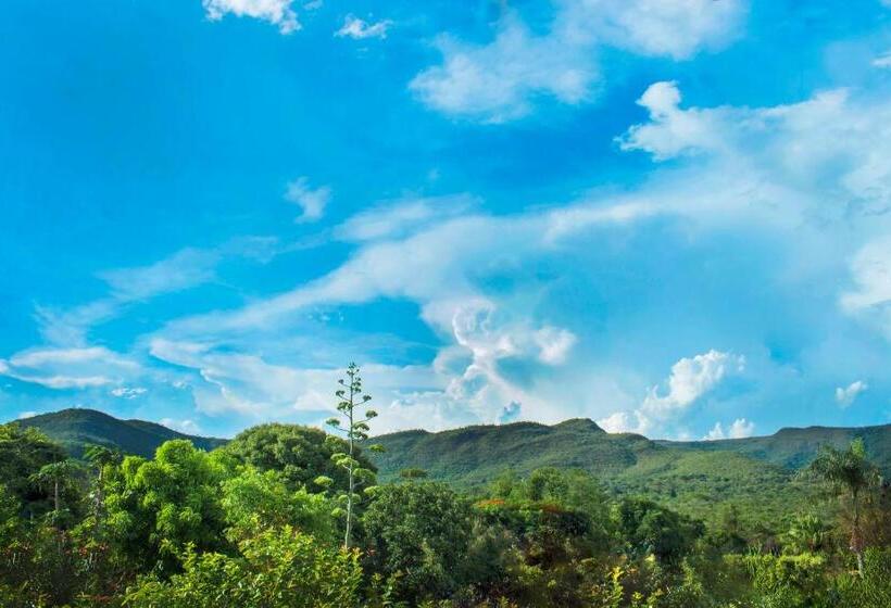 اتاق استاندارد با چشمانداز, Casa De Frida Pousada Galeria