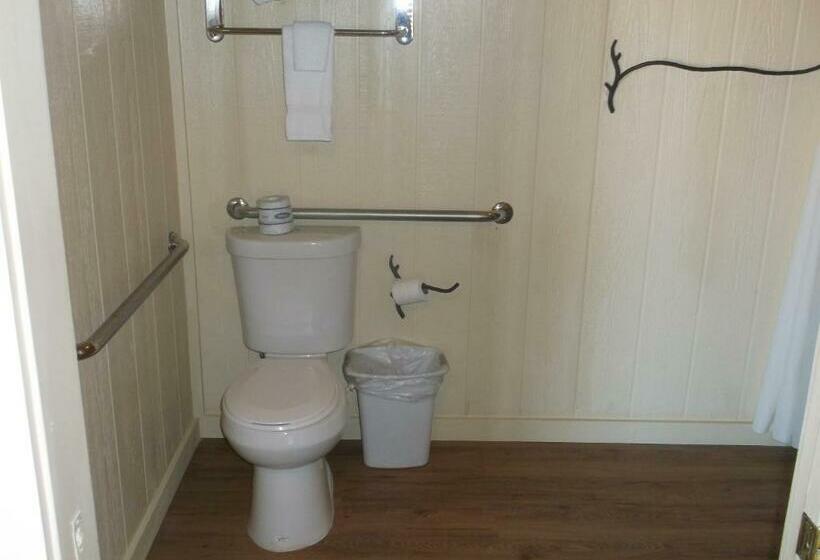 适合残疾人使用的标准间, Cabins At Grand Canyon West