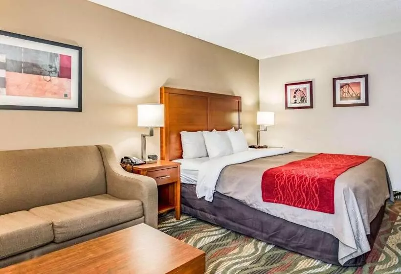 キングサイズベッドのスタンダードルーム, Comfort Inn & Suites Chattanooga West   Lookout Mountain