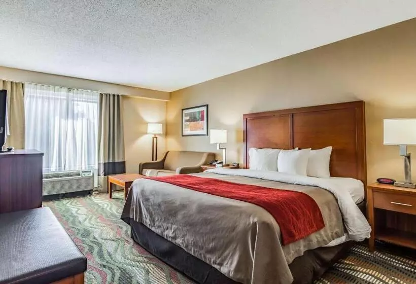 キングサイズベッドのスタンダードルーム, Comfort Inn & Suites Chattanooga West   Lookout Mountain