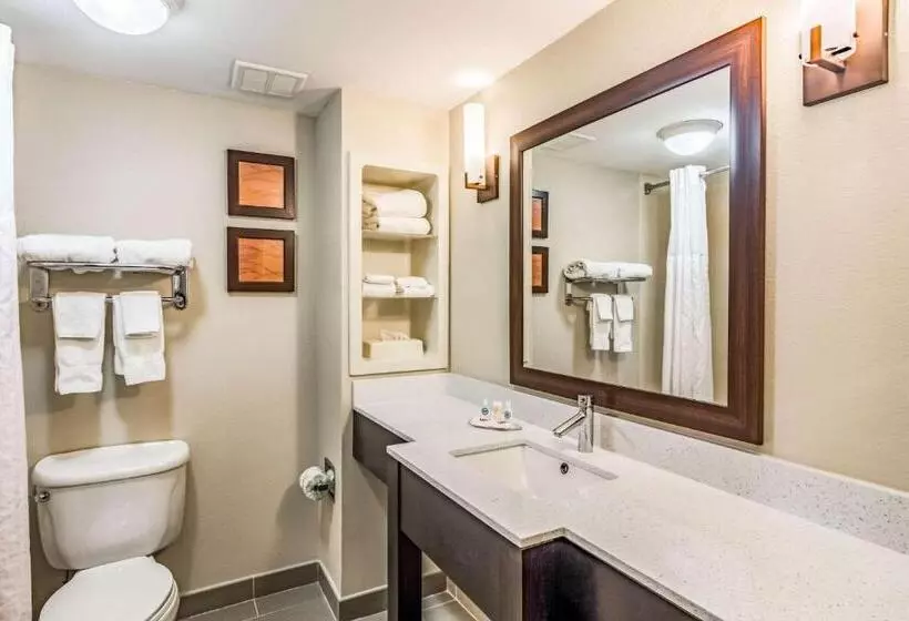 キングサイズベッドのスタンダードルーム, Comfort Inn & Suites Chattanooga West   Lookout Mountain