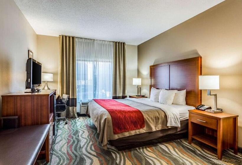 اتاق استاندارد با تخت بزرگ, Comfort Inn & Suites Chattanooga West   Lookout Mountain