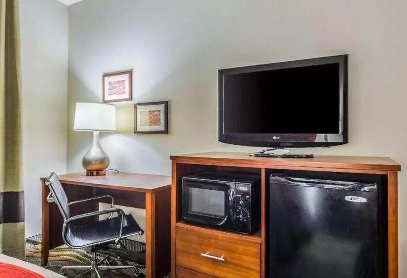 身障者適用キングサイズベッドルーム, Comfort Inn & Suites Chattanooga West   Lookout Mountain