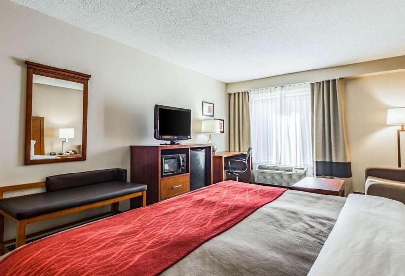 اتاق استاندارد با تخت بزرگ برای معلولان, Comfort Inn & Suites Chattanooga West   Lookout Mountain