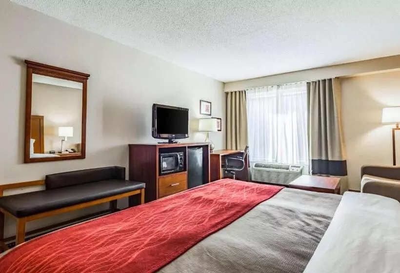 身障者適用キングサイズベッドルーム, Comfort Inn & Suites Chattanooga West   Lookout Mountain